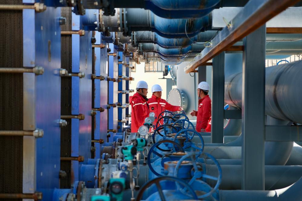 四中全会精神在基层丨西藏那曲：雪域之城涌动绿色暖流