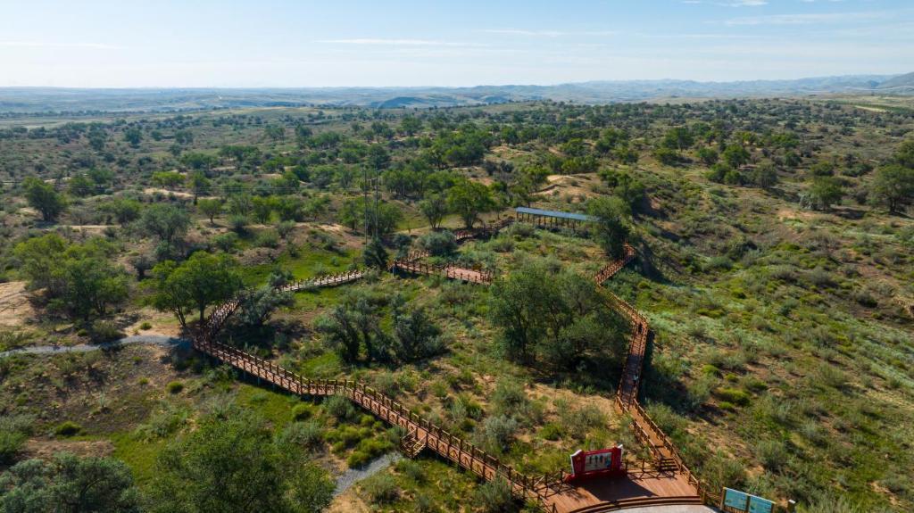 习近平总书记关切事·嘱托｜生态守护者的绿色画卷