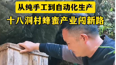 从纯手工到自动化生产，十八洞村蜂蜜产业闯新路