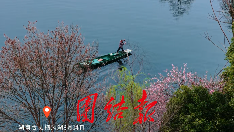 湘西春景：古丈栖凤湖樱花桃花开了