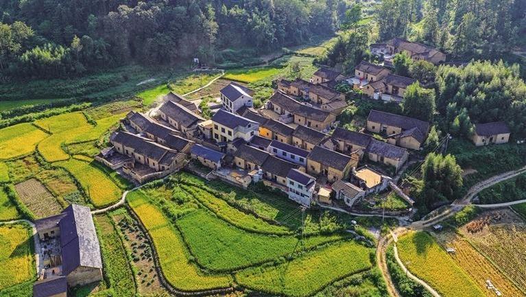 苗寨栖山 稻海铺秋