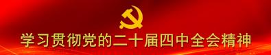 学习贯彻党的二十届四中全会精神