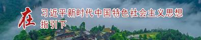 在习近平新时代中国特色社会主义思想指引下