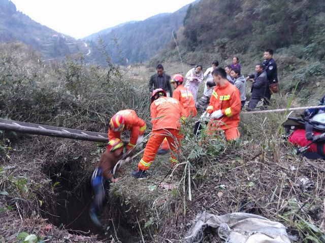 【点击查看原图】