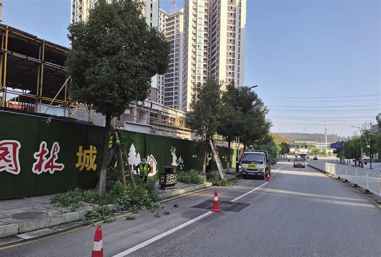 关于《这些树该修剪了》的回复