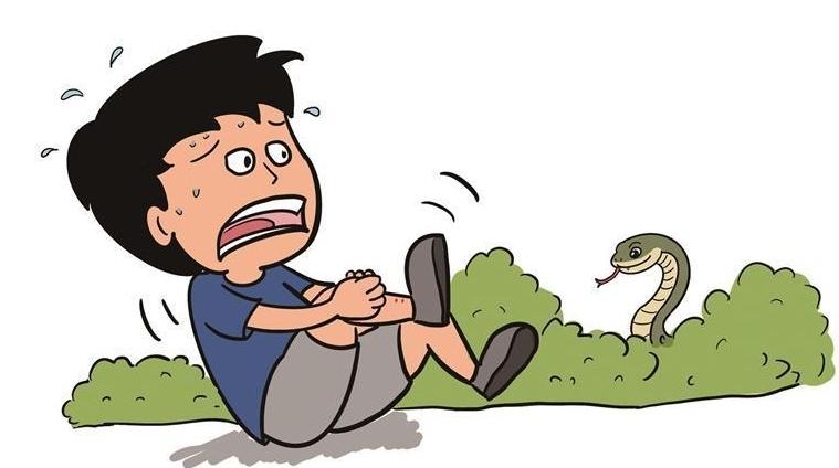 夏季蛇伤高发！医生权威科普自救方法