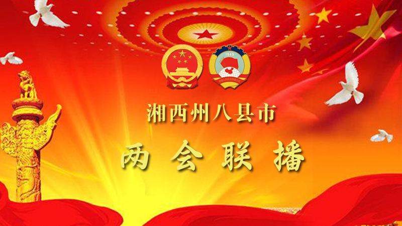 湘西州八县市两会联播